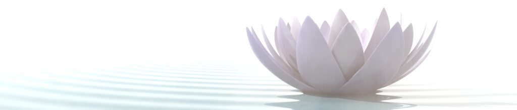 fiore che galleggia sull'acqua